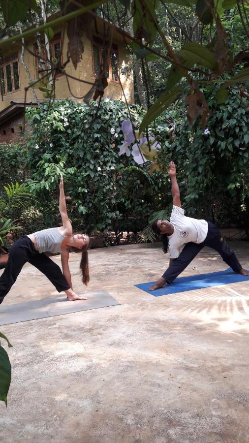 Eco Village Yoga Home Digana Dış mekan fotoğraf